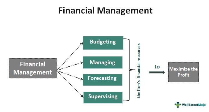 Financial Management & Funding Powers Strategic Growth and Business Resilience