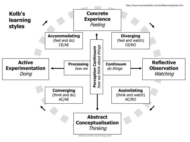 Team & Leadership Development Drives Stronger Performance and Cohesive Teams